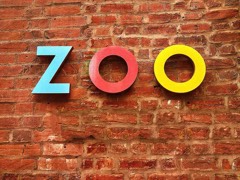 zoolanemedia